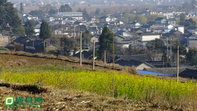 DSCF9883.jpg