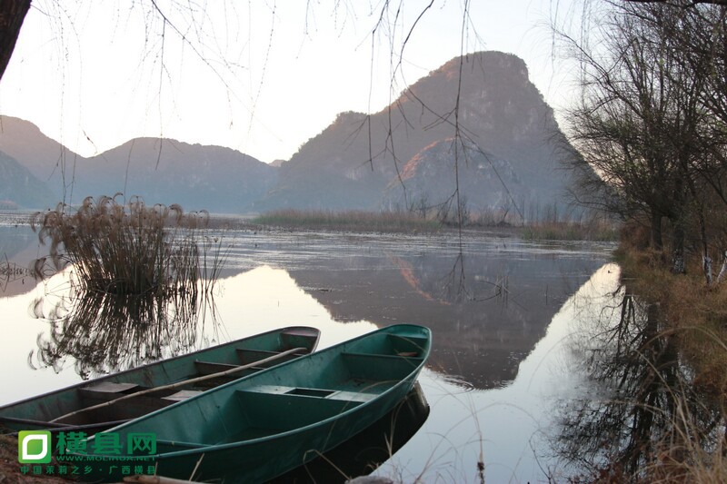 IMG_8060.jpg
