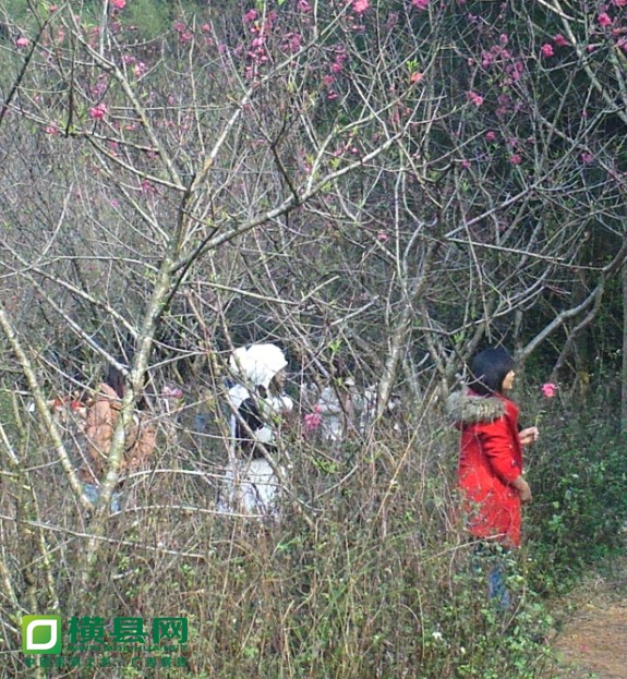 QQ图片20140215144355.jpg