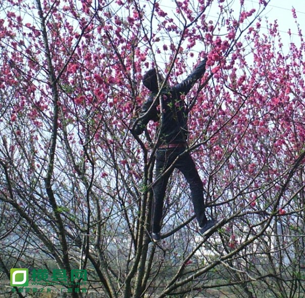 QQ图片20140215144311.jpg
