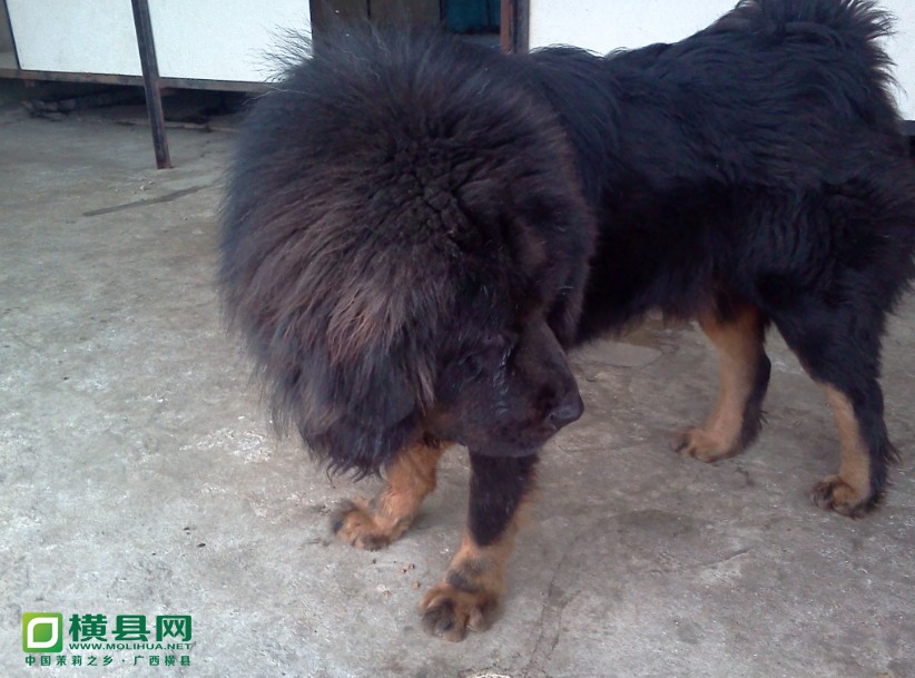 QQ图片20140215174904.jpg