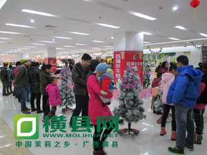 IMG_0137.jpg