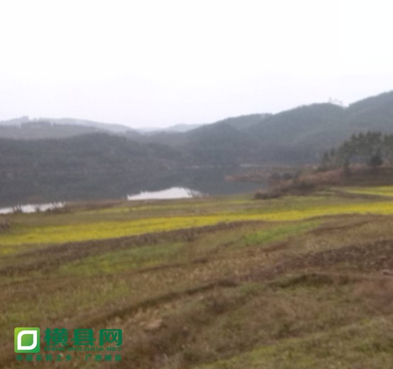 QQ图片20140228114202.jpg