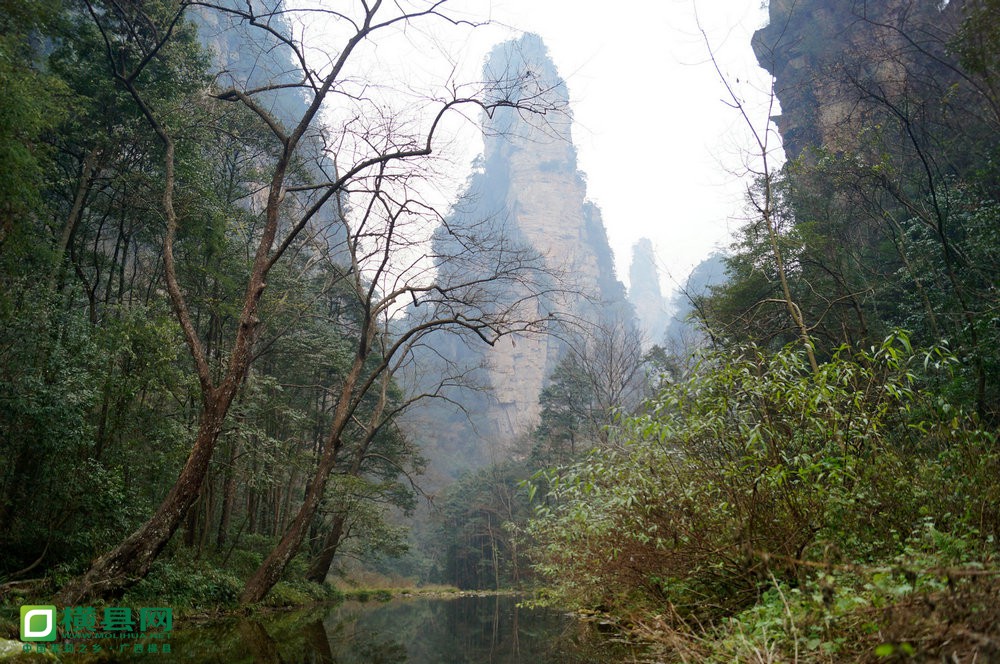 DSC06580.jpg