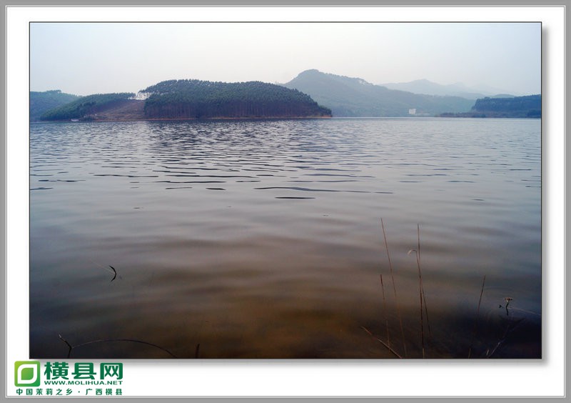 DSC08145.JPG