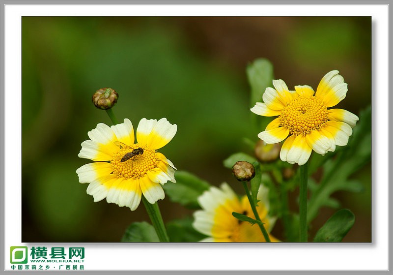 DSC08058_副本.JPG