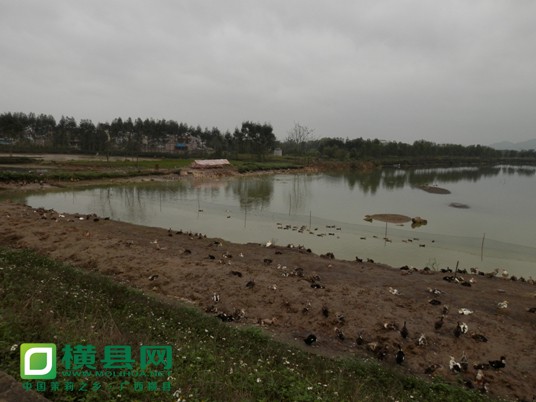 P1010269.JPG