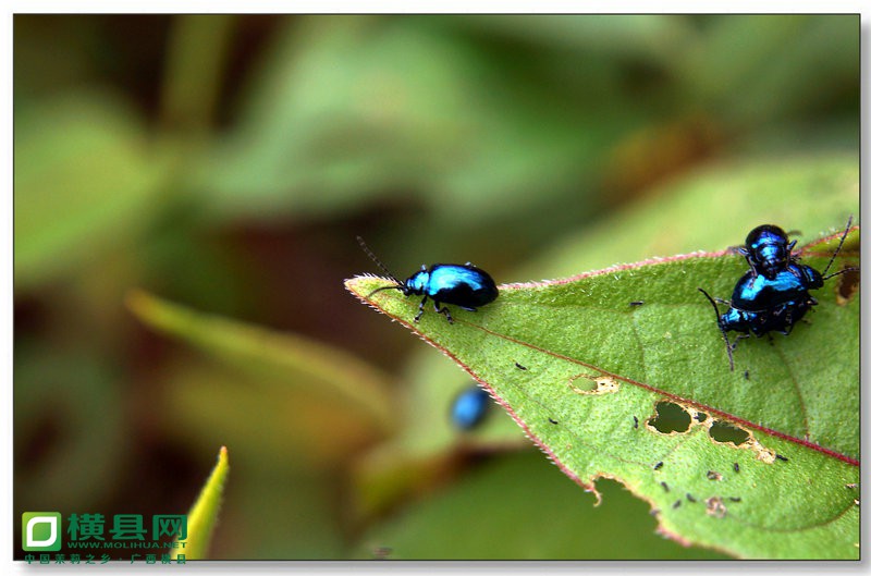 DSC01141_副本.JPG