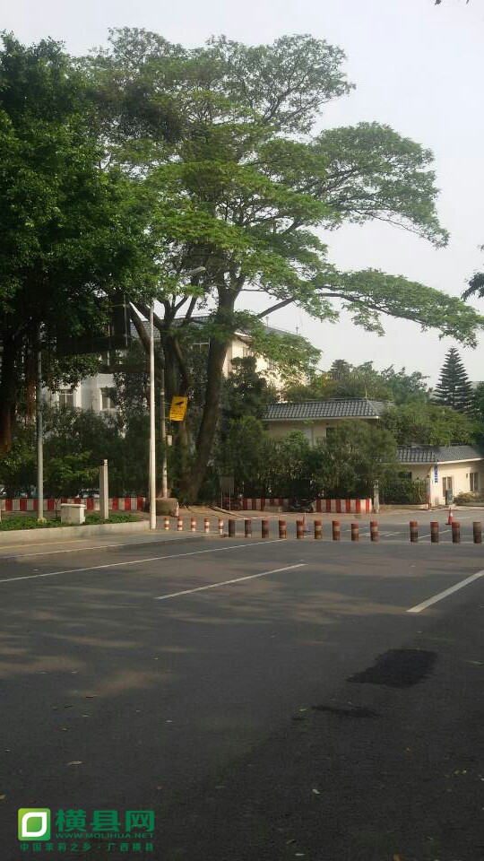 QQ图片20140414091145.jpg
