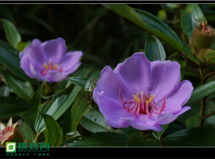 DSC00127_副本.jpg
