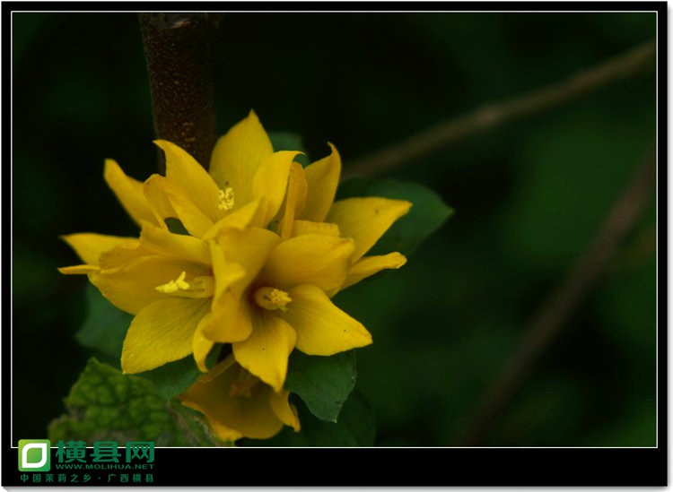 DSC02393_副本.JPG