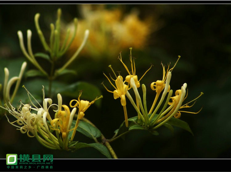 DSC02076_副本.JPG