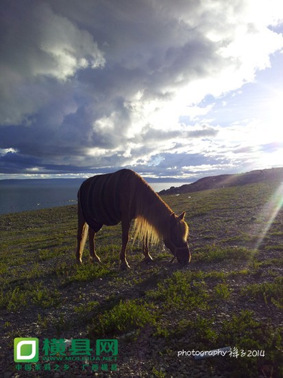 20120920_082823.jpg
