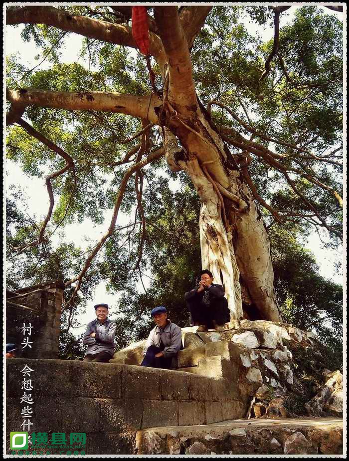 副本.jpg