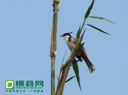 QQ截图20140425181751.jpg