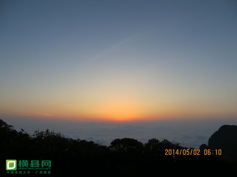 IMG_3180.jpg