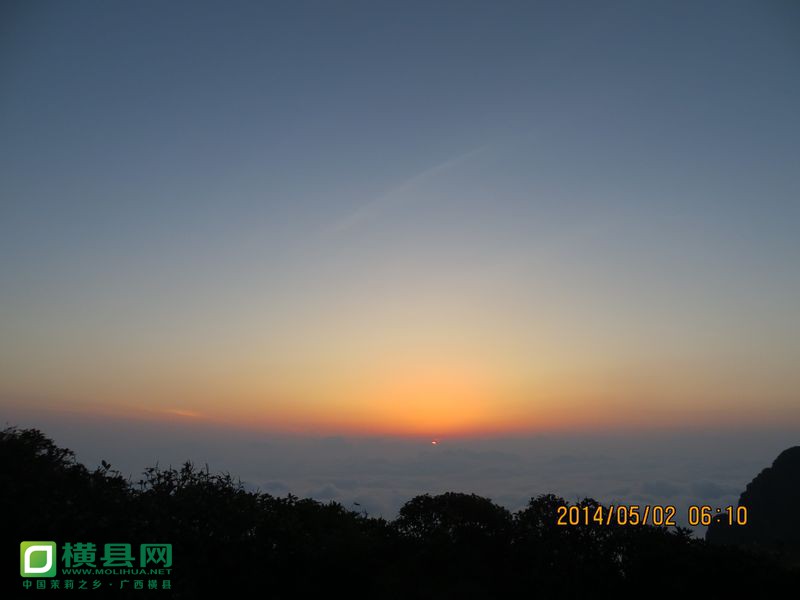 IMG_3181.jpg