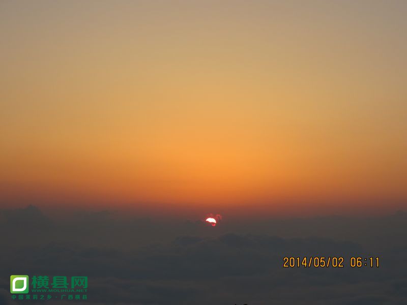 IMG_3186.jpg