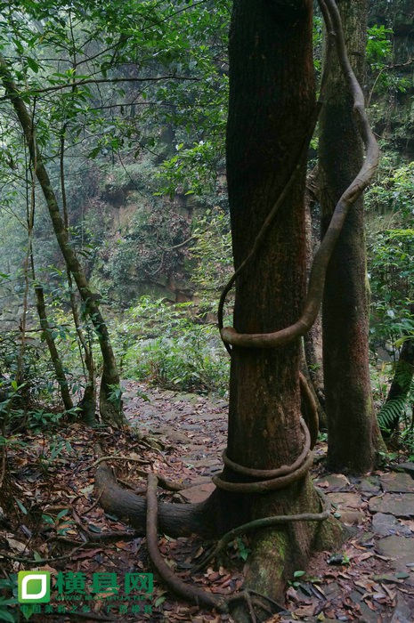 DSC03422_副本.JPG