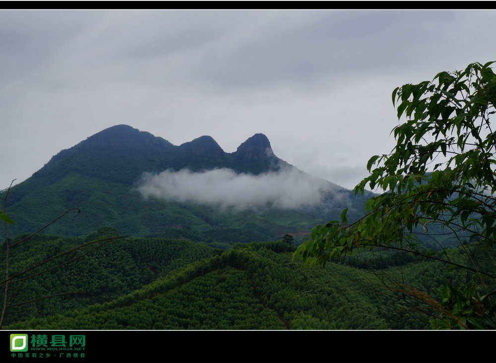 DSC04231_副本.JPG