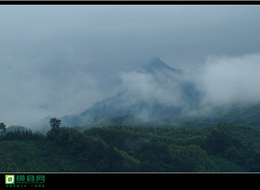 DSC04241_副本.JPG