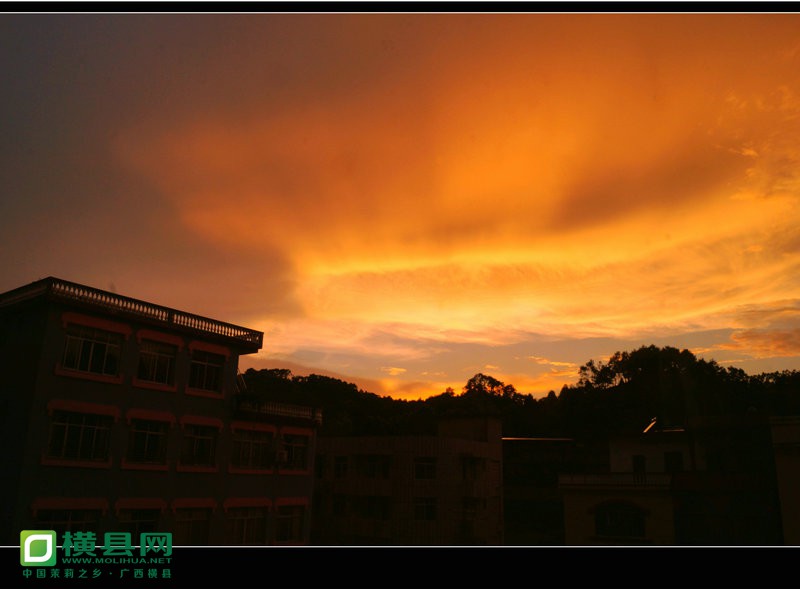 DSC00164_副本_副本.jpg