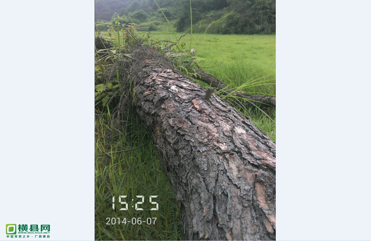 QQ图片20140609214110.jpg