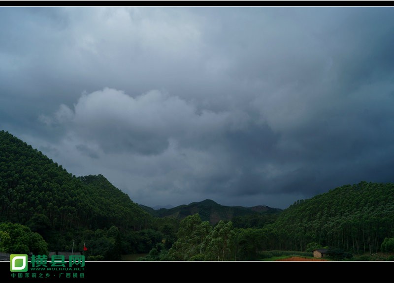 DSC04941_副本.JPG