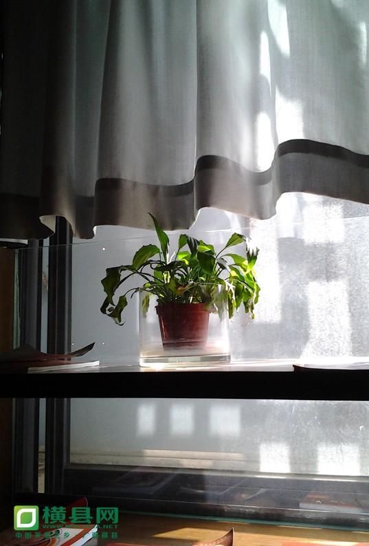 20131106_122517_副本.jpg