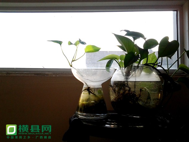 20131126_082921_副本.jpg