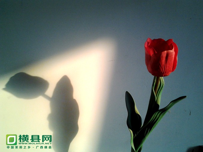 20140131_084742_副本.jpg