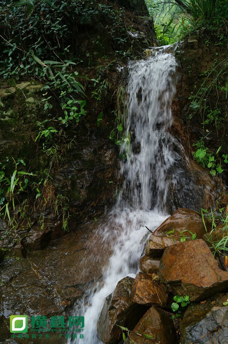DSC05436.jpg