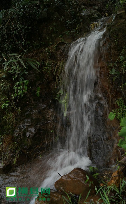 DSC05439.jpg