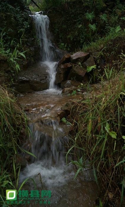 DSC05440.jpg