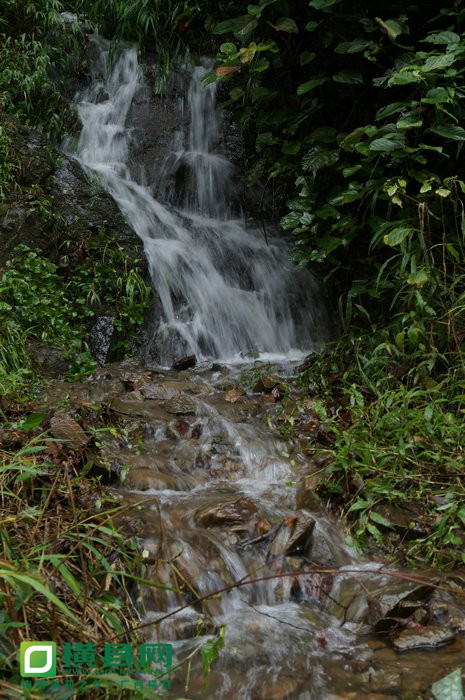 DSC05509.jpg