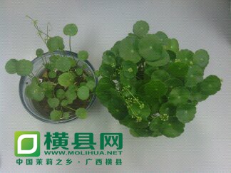 1403067444778.jpg