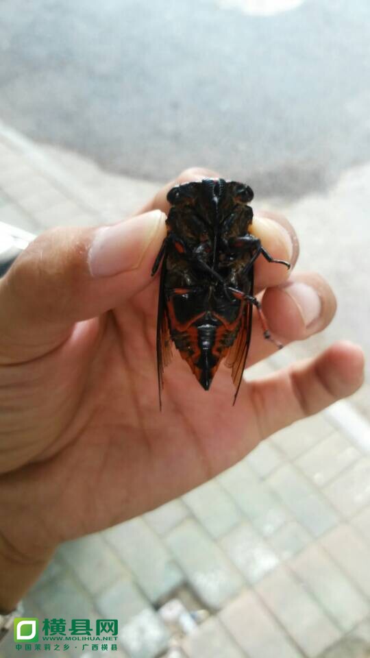 QQ图片20140620161920.jpg