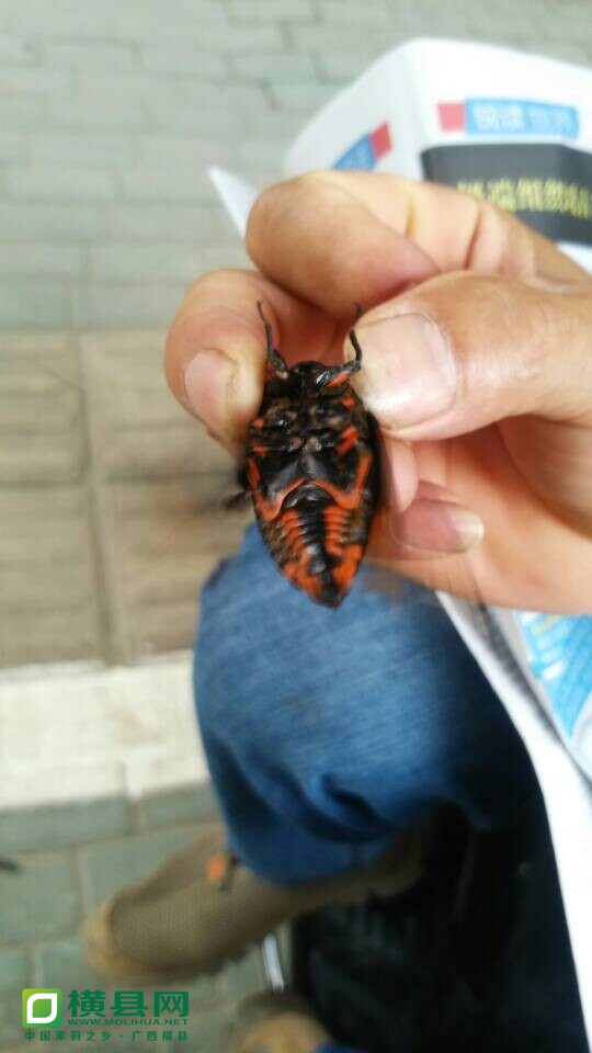 QQ图片20140620161936.jpg