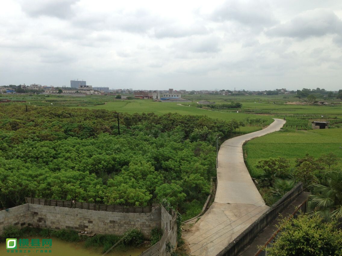 QQ图片20140623101133.jpg