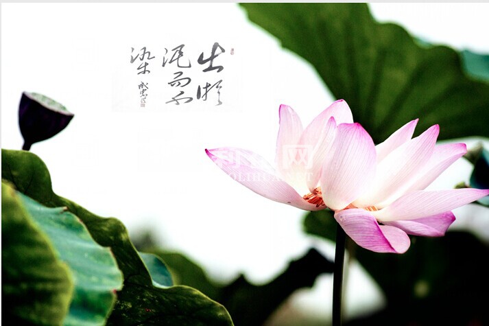 QQ图片20140628223259.jpg