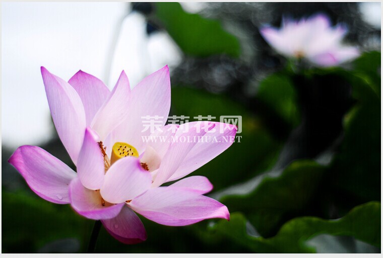 QQ图片20140628223325.jpg