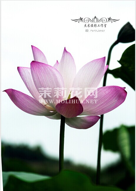 QQ图片20140628223352.jpg