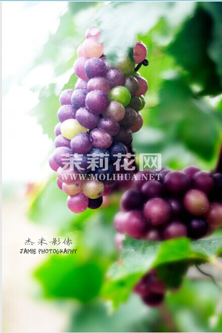 QQ图片20140628223416.jpg