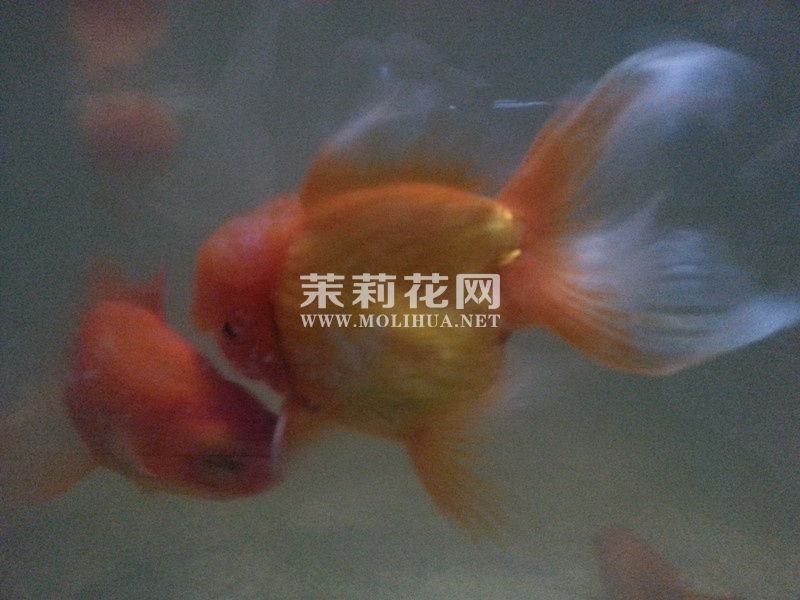 发.jpg