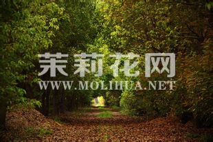 u=2,3219578062&amp;fm=19&amp;gp=0.jpg