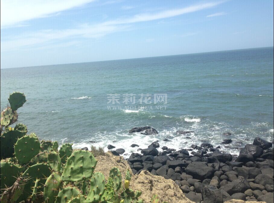 QQ图片20140630102541.jpg