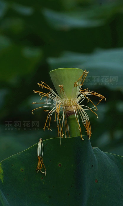 DSC06132_副本.JPG