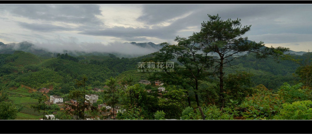 下塘全景图3.jpg