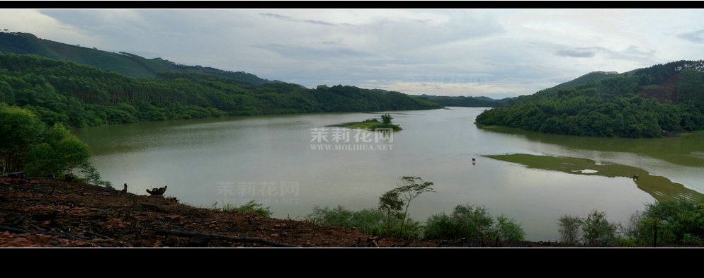盐田全景图四.jpg