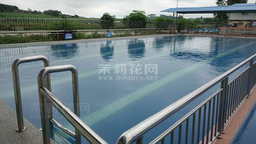 DSC03961_副本.jpg